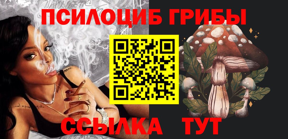 Псилоцибиновые грибы мицелий  Псилоцибиновые грибы Psilocybine cubensis  Белореченск  Вход с VPN 